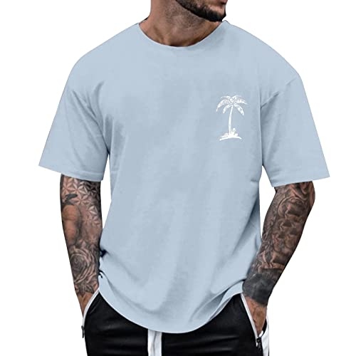 Tshirt Mit Aufdruck, Shirt Herren Kurzarm, O-Neck Casual Tshirt Klassisches Loose Fit Tops Outdoor Quick Dry Sportshirts LäSsiges Hochwertige Oberteile Y2K Streetwear