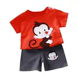 XINYUNZU Warehouse Deal Jungen T-Shirt und Shorts Set Kinder Kleidung Sommer Loungewear Set Lässiges Top mit Kurze Hose Trainingsanzug Schlafanzug Outfit Set für 1-6 Jahre Rot 100