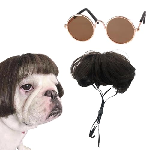 YSJCHEBS 1 Haustierperücke Und 1 Haustierbrille, Haustierbedarf, Haustierzubehör, Haustier-Cosplay-Zubehör, Haustierparty-Verkleidung