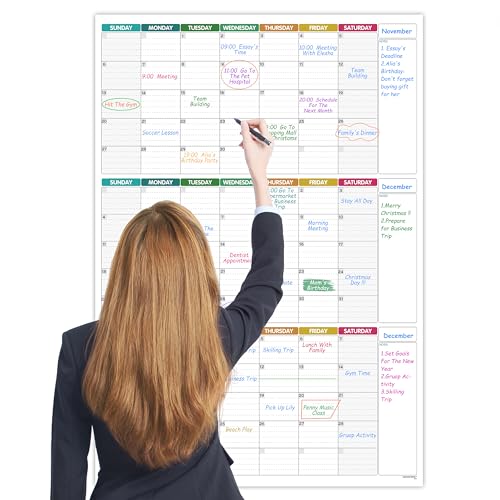 Großer Wandkalender, undatiert – Drei-Monats-Wandplaner, trocken abwischbar, wiederverwendbar, riesiges laminiertes Poster, Ziel- und Aufgaben-Organizer für Ihr Zuhause, Büro, 101 x 73 cm, bunt