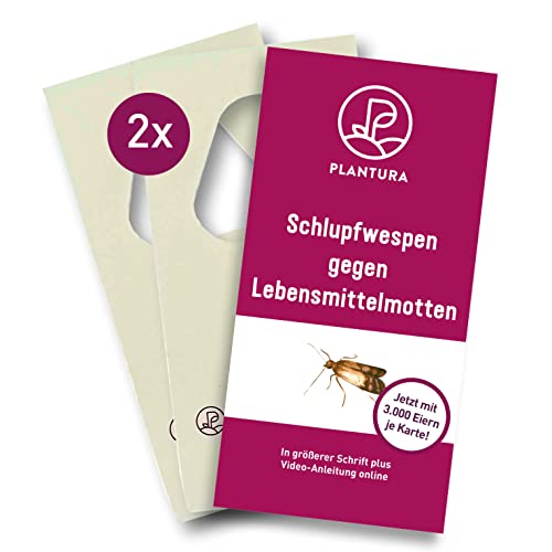 Plantura Schlupfwespen gegen Lebensmittelmotten, 2 Karten à 3 Lieferungen, wirksam & nachhaltig