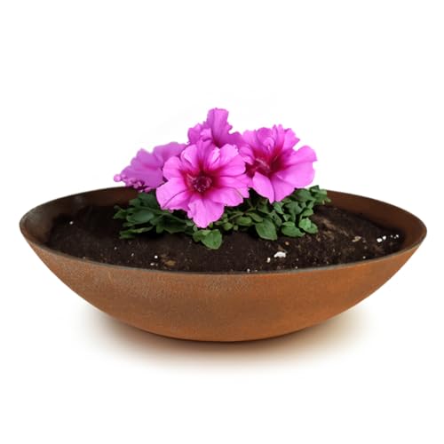 matches21 wetterfeste Pflanzschale für draussen - große Dekoschale in Rost Metall-Optik als Blumenschale - flache Garten Schale in 35 cm für Blumen, Bonsai oder Friedhof Grab-Schmuck