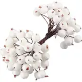 Tatuo Packung von 200 Stück gefrostetem Obst Holly Beeren Mini Weihnachten künstliche Beerenblume für Zuhause, Hochzeit, Party, Geburtstag, DIY Dekoration (white)