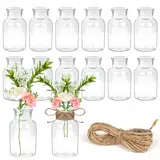 YSWOVUO 12er Set Glasvase Klein, 125ml Mini Vasen mit 5m Juteschnur, 10.3cm Hoch Blumenvasen, Vasen Deko, Kleine Vasen für Tischdeko Zuhause Hochzeiten Geburtstage Feste, Spülmaschinenfest