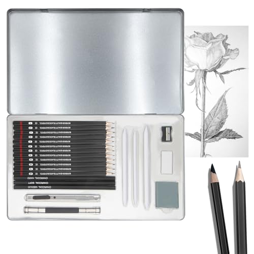Wonwood_direct Bleistift Set, 23-Teiliges Zeichenstifte Set, Bleistift Zeichnen Sketch Bleistift Set mit Graphitstifte, Kohlestifte, Extender für Künstler, Kinder, Erwachsene, Zeichnungen (type 1)