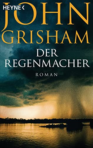 Der Regenmacher: Roman