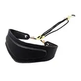 LOLIPPYY für Saxophon saxophongurt saxophon gurt Saxophon Saxophon Trageband einstellbar Nacken schultergurt Zubehör für Saxophone aus Saxophon Black