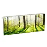 Magnet Heizkörperverkleidung Heizkörperabdeckung Grün Natur 140x60 cm Heizung Abdeckung Verkleidung Magnetische Abdeckmatte Kühlschrank aus Einem Flexiblen Magneten Digitaler Aufdruck