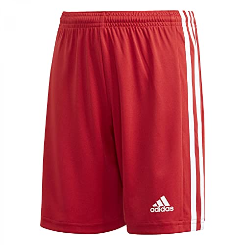 adidas Squad 21 Shorts Tmpwrd/White 152