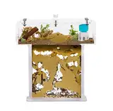 Acryl Ameisenfarm Set mit Sand in Mini T-Form - 14x5x14 cm Sandwich und Futterkasten - Ameisen Farm mit Lebenden Ameisen - Enthält Königin, Arbeiterinnen, Eier und Larven - Durchsichtig