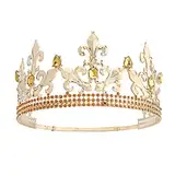 Royal King Krone Herren Metall Prinz Kronen Tiaras Full Round für Weihnachten/Hochzeit/Ball/Festzug/Geburtstagsfeier/Fotografie (Gold Champagner)