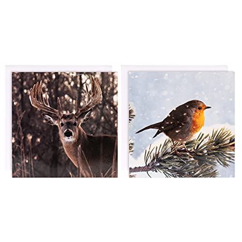 Hallmark Weihnachtskarten-Set für Wohltätigkeitsorganisationen, 10 Karten in 2 Designs der Fotogalerie-Kollektion