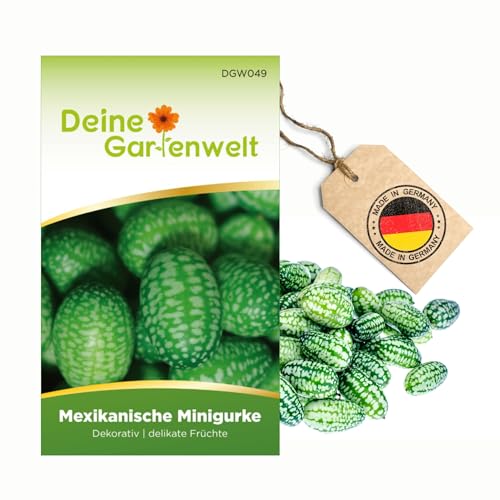 Mexikanische Minigurke Samen - Melothria scabra - Minigurkensamen - Gemüsesamen - Saatgut für 10 Pflanzen