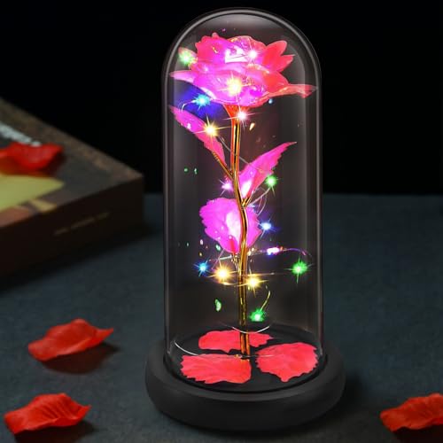 Ewige Rose im Glas mit LED Licht, Die Schöne Und Das Biest Rose mit Einer wunderschönen Geschenkbox, Kristallrose Blumen Geschenke Geschenk Zum Geburtstag Jubiläum für Frauen, Mama, Mutter