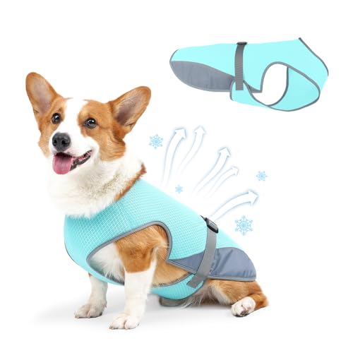 Kühlweste für den Sommer, leichte Jacke, Kühlshirt für Hunde, UV-Schutz, Kühlgeschirr für Outdoor-Aktivitäten mit atmungsaktivem Netzgewebe, Größe S (Blau, XL)