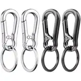 Redamancy 4 Pcs Abnehmbare Karabinerhaken, Carabiner Schlüsselanhänger, Karabiner Schlüsselanhänger, Karabinerhaken Klein Schlüsselanhänger, Schlüsselringe mit Karabiner für Herren und Damen