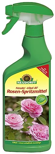 Neudorff Neudo-Vital AF Rosen-Spritzmittel – Anwendungsfertiges Spray fördert die optimale Ernährung von Rosen und beugt Pilzkrankheiten vor, 500 ml