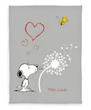 Wild South Shop Peanuts Flanell Flauschdecke Snoopy XL Kuscheldecke 150 x 200 cm, super Soft, Sofadecke