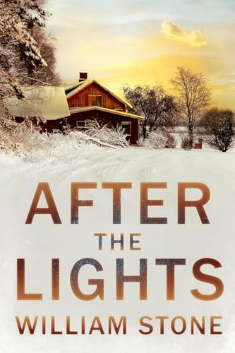 EMP After the Lights (Überleben in einer stromlosen Welt – Ein postapokalyptischer Thriller 4)