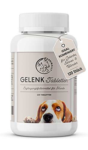 Gelenktabletten für Hunde mit MSM, Grünlippmuschel, Teufelskralle, Glucosamin & Hyaluron - 120 Gelenke Tabletten für Hunde - Hohe Akzeptanz beim Hund durch kleine Tabletten