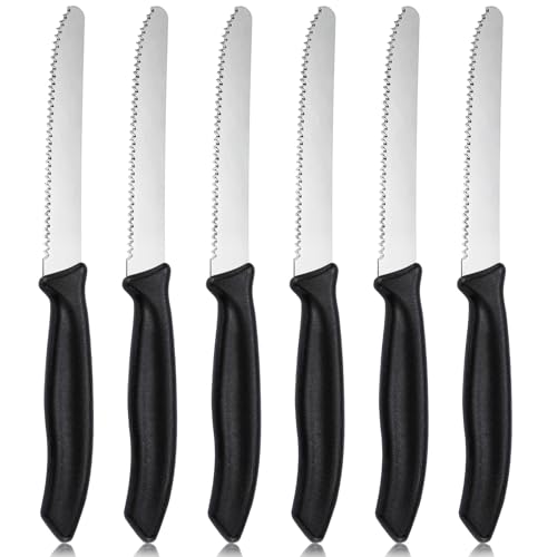 hunnycook Tomatenmesser 6 Stück, brötchenmesser mit Wellenschliff, Edelstahl Frühstücksmesser, Tafelmesser, Steak messer Set für die Gastronomie zu Hause, Spülmaschinenfest