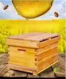 Bienenstock, Zander Beute für 10 Rahmen, mit Bienenwachs beschichtetes Zedernholz, - Bienen - Nachhaltig - Imkereibedarf