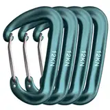 TRIWONDER Karabiner Karabinerhaken aus Aluminium, 12 kN Belastbarkeit, D-Form, Schlüsselanhänger Set für Hängematten, Camping, Wandern, Angeln (Dunkelgrün)