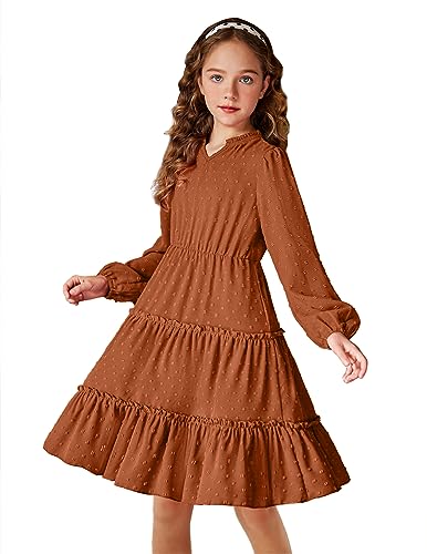 Arshiner Kleider Mädchen V-Ausschnitt Langarmkleid Swiss Dot Chiffonkleid A-Linie Festlicheskleid Kinder Volant Stufenkleid Herbst Winter Kinderkleider Braun 140/10-11 Jahre