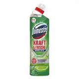 Domestos Kraft & Frische WC-Gel Lime Fresh sorgt für hygienische Sauberkeit im Badezimmer