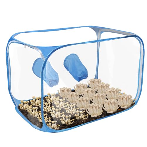 Stillluftbox für Pilze, Pilzzuchtbehälter,Anzuchtstationen Growzelt-Set | Pop-up-Design, Faltbare Wachstumsbehälter, Gartenbauzubehör für Pilzexperimente