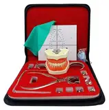 Zahnärztliche endodontische Gummi -Damm -Kit -Endodontikinstrumente Punch Clamps Zahninstrumente for zahnärztliches Werkzeug, Dental -Clip -Werkzeug -Set mit 28 Zähnenmodell -Positionierungsplatten -K