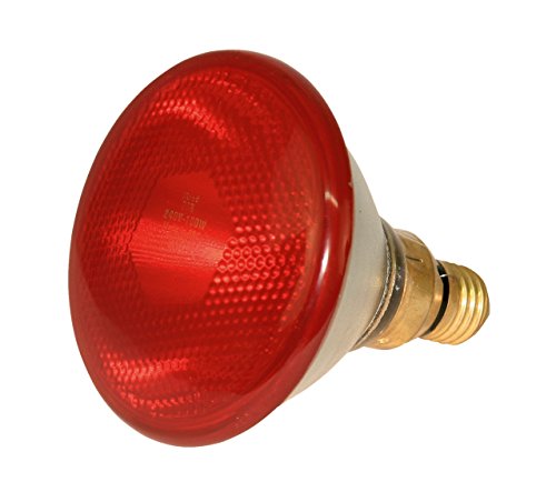 Kerbl Infrarotlampe Sparlampe rot (175 W, Wärmelampe für Schweine + Geflügel, Laufzeit max. 5000 Stunden, Lampensockel E27, Stalllampe) 22247