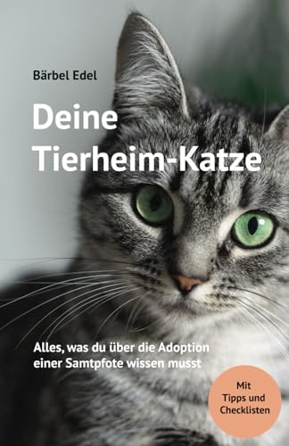 Deine Tierheim-Katze: Alles, was du über die Adoption einer Samtpfote wissen musst