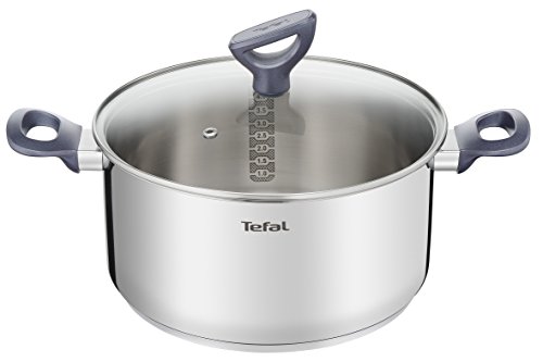 TEFAL DAILY COOK Kochtopf G71246 | 24 cm | GLASDECKEL MIT DAMPFAUSLASS | SPÜLMASCHINENFEST | für alle Herdarten geeignet einschließlich Induktion