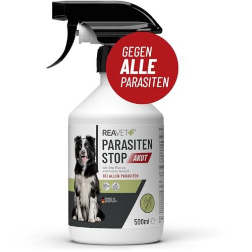 ReaVET Parasitenspray Insektenspray XL AKUT - gegen ALLE Parasiten für Hunde & Tierumgebung 500ml I Abwehr von Zecken, Flöhe, Milben I Ungeziefer-Spray, Zeckenspray, Flohspray, Milbenspray