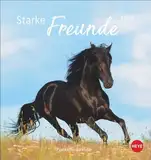 Pferde Postkartenkalender 2025 - Starke Freunde: Pferdefotografin Sabine Stuewer setzt die edlen Tiere in einem kleinen Kalender perfekt in Szene. ... (Postkartenkalender Heye)