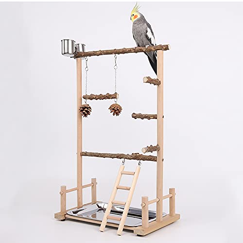 Parrot Playstand, Bird Playground, Papagei Vogel Spielplatz, Papageien Vogelständer Vogelspielplatz für Vogelkäfige, für Wellensittich Nymphensittich(36.5 * 23 * 57CM)