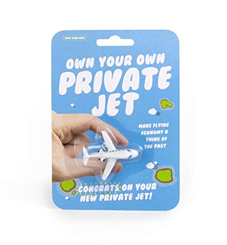 Gift Republic Own Your Own Jet - Lustiges Geschenk - Perfekter Strumpffüller für große Träumer | Mini-Flugzeug - lustige Geschenkidee Captain Pilot Flugbegleiter, Silber