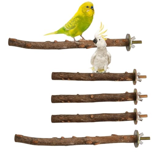 Sitzstangen Vögel, 5 Stück Vogelstange aus Holz, Sitzstangen für Wellensittiche, Kanarienvogel, Agaporniden Naturholzstangen für Wellensittich, Kanarienvogel, Vogelzubehör im Vogelkäfig