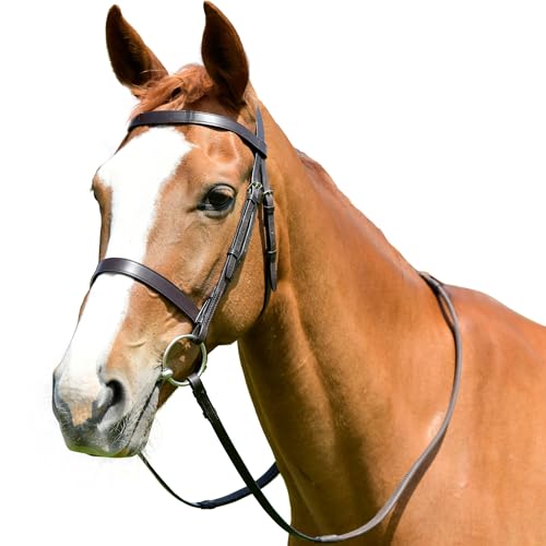 Kincade - Flaches Zaumzeug mit Zügeln für Pferde Classic, Leder (Cob) (Braun)