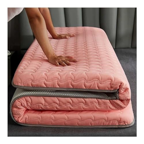 WEISHIDAI Japanische Futonmatratze Verdickter Schlafsack Aufrollbare Gästematratze, Bodenbett Gefüllt mit Sojaproteinfasern für druckentlastenden & kühlenden Schlaf (Color : C, Size : 120x200CM)