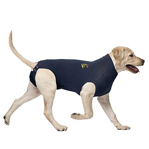 MPS Medical Pet Shirt, Blau, für mittelgroße Hunde, M