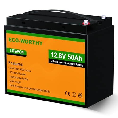 ECO-WORTHY LiFePO4 Akku 12V 50Ah mit BMS Schutz und 4000-15000 Zyklen, Lithiumbatterie 12V für Wohnmobil,Solarpanel Kit,Camping,Solaranlage, Boot, Haushalt