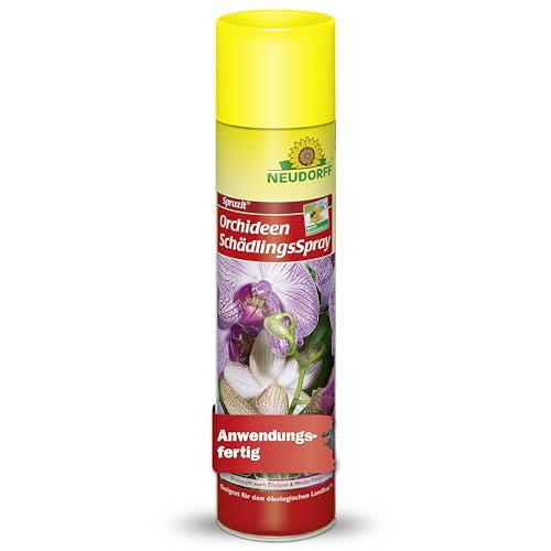 Neudorff Spruzit OrchideenSchädlingsSpray – Bekämpft Schädlinge wie Blattläuse, Thripse, Schild- & Wollläuse an Orchideen, anwendungsfertig, 300 ml