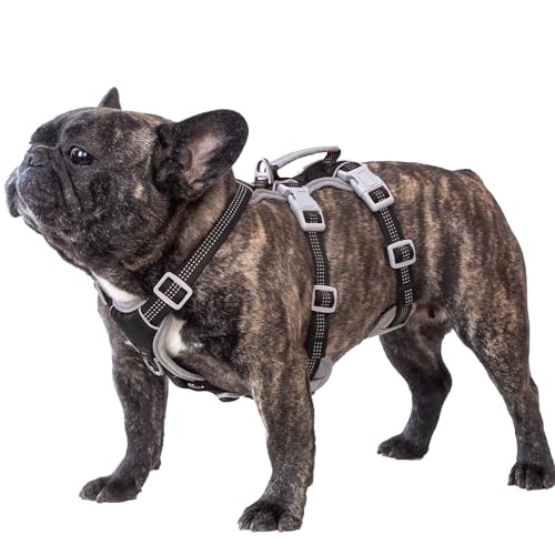 Huntboo Hunde Sicherheitsgeschirr, Sicherheitsgeschirr für Hunde, Vollständig Reflektierendes Geschirr mit Gepolstertem Griff, Wasserdicht, Verstellbare Weste für Mittelgroße Hunde (Schwarz, M)