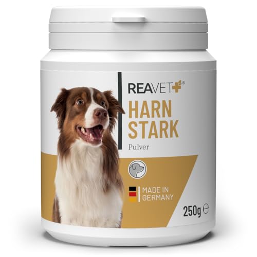 ReaVET Harnstark für Hunde 250g - Unterstützt Blasenfunktion bei Blasenschwäche, Inkontinez I Kürbiskernprotein, Kürbiskerne gemahlen Hund - Blase, Prostata & Harnwege & Immunsystem