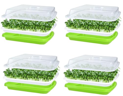 KAHEIGN 4Pcs Keimschalen für Sprossen, Seed Sprouter Tray 32cm x 26cm Keimschale Sprossen mit Deckel für große Samen Keimung Tablett Keimbox für Anzucht von Mungbohnen Alfalfa Weizengras