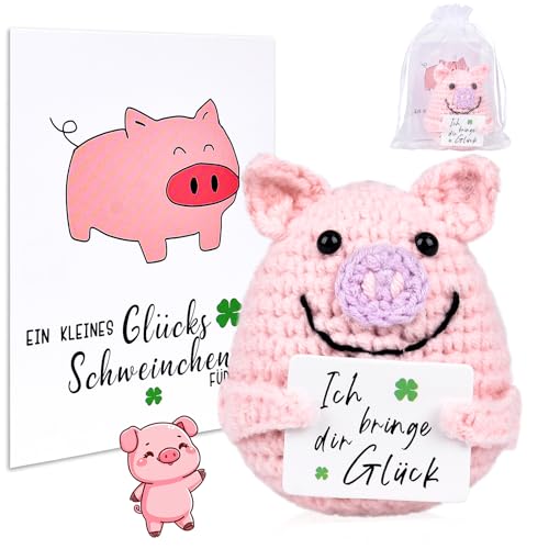 Pocket Hug Glücksschweinchen, Strickwolle Schwein Puppe mit Energiekarte, Positive Kartoffel - Ersatz, Mutmacher Geschenk, Glücksbringer Prüfung Geschenk, Warme Geschenke für Familie und Freunde
