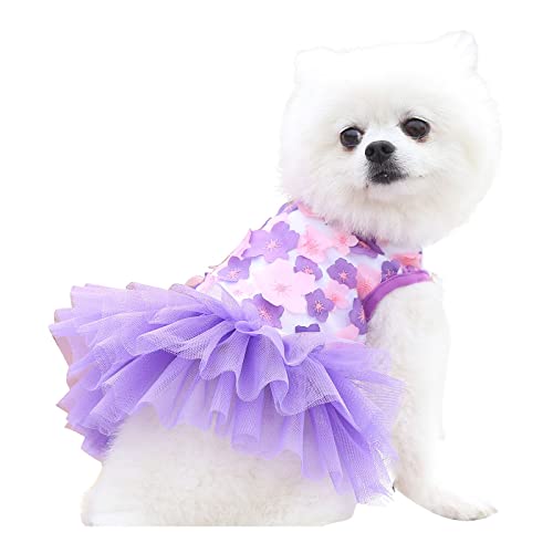 Tyuffghet Tutu Rock Rote Lippen Kleid Haustierbedarf Haustier Pfirsich Haustier süßes Kleid Frühling Hund Frühling Baumwolle Sommer Kleidung Baumwolle Haustierkleidung (Purple-2, M)