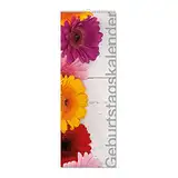 Geburtstags-Kalender XL I dv_290 I 148 x 420 mm I Spiralbindung I jahresunabhängig I Dauerkalender für die ganze Familie